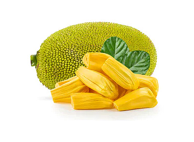 Jack Fruit Items