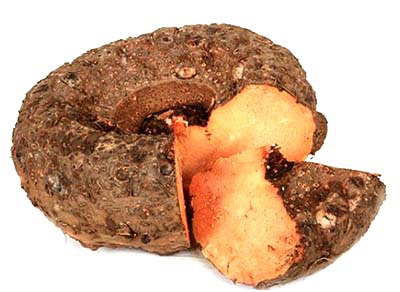 Frozen Elephant Yam 